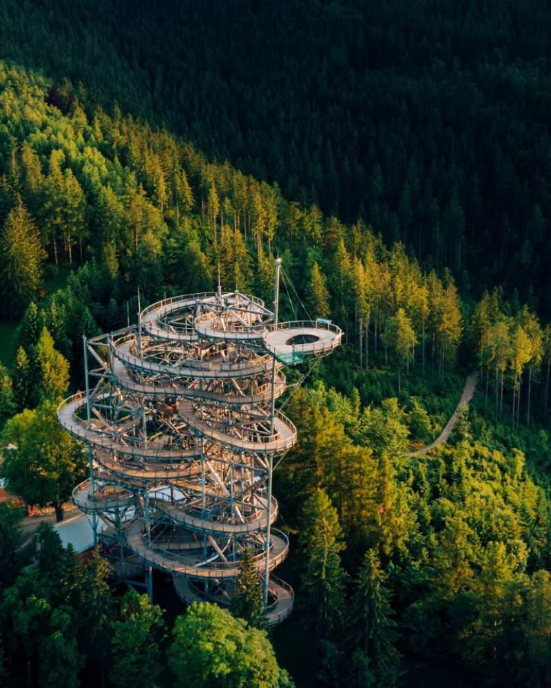 Sky Walk - Path in the Clouds