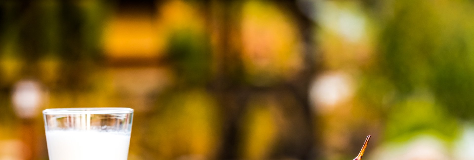 Co zjeść w Karkonoszach? Regionalne potrawy kuchni karkonoskiej