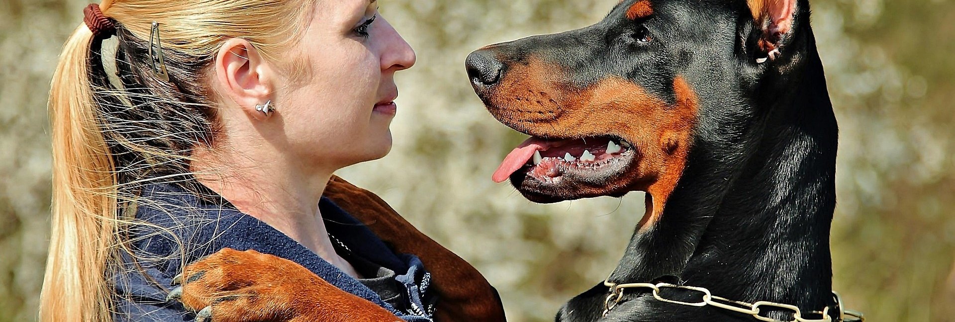 Norweska Dolina z psem: jakie trasy wybrać na wędrówkę z czworonogiem?