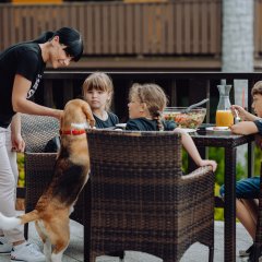 Harmonogram na długi weekend czerwcowy!