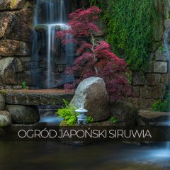 Siruwia - ogród japoński