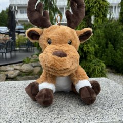 Karkonoś – Przyjazna Maskotka Resortu