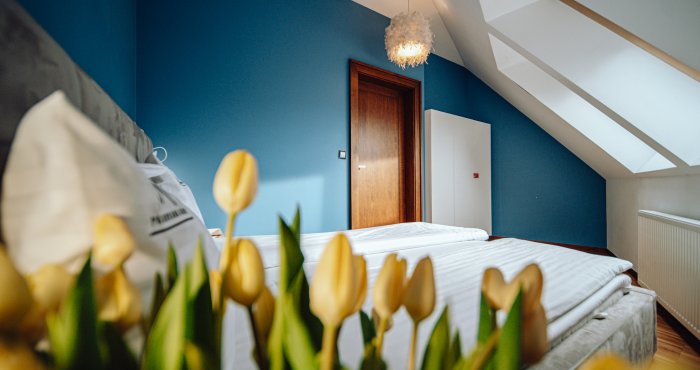 CMS房间详细信息