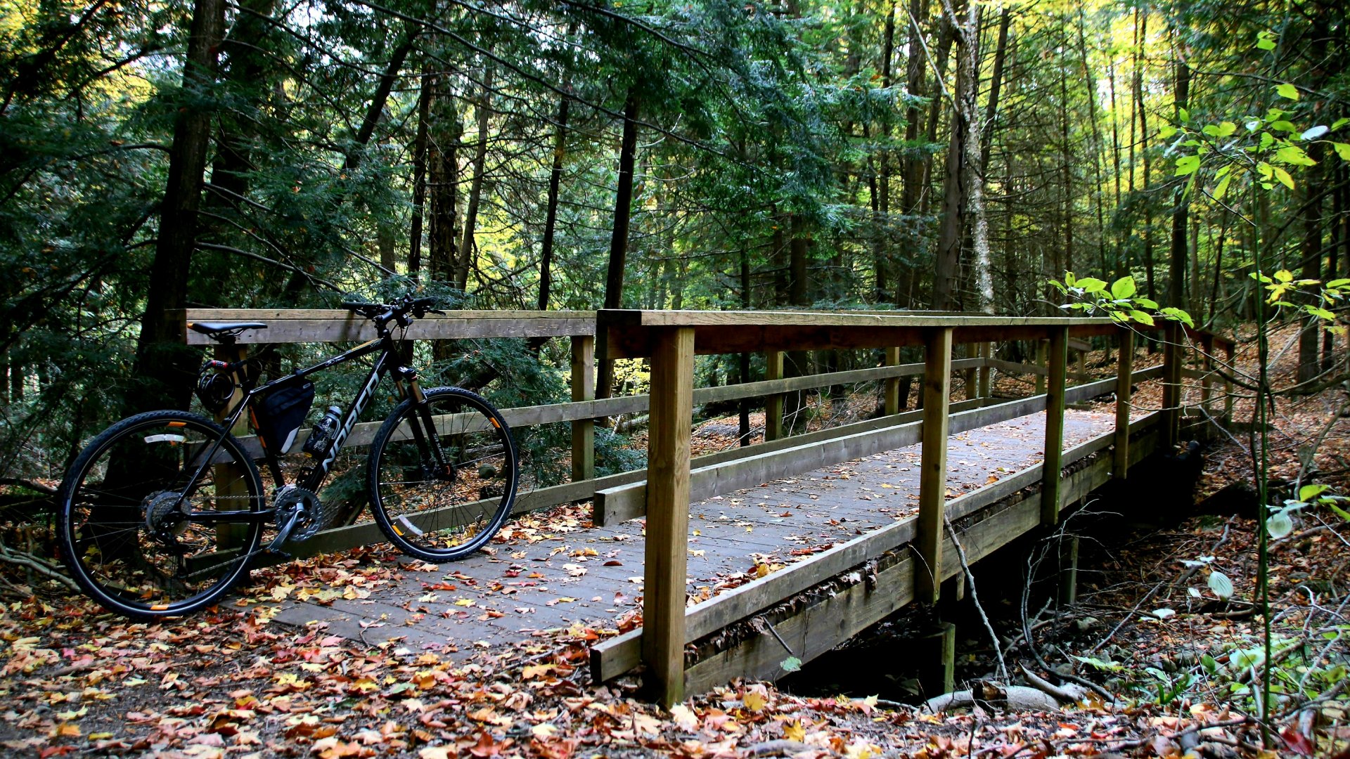 Radweg Nummer 5