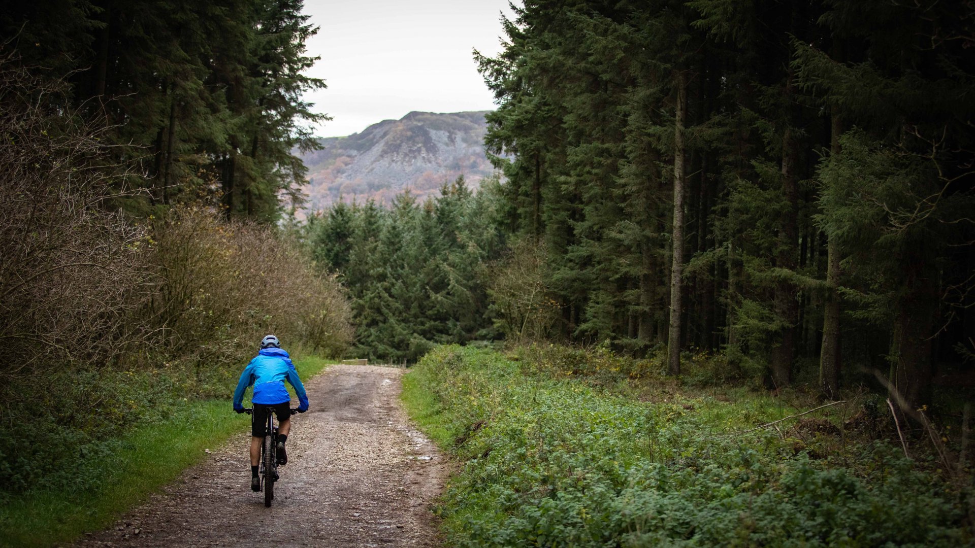 ВЕЛОСИПЕДНЫЙ МЕРШРУТ №2