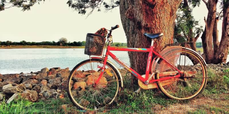 Trasy rowerowe