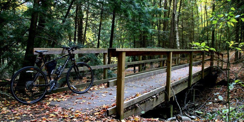Trasy rowerowe
