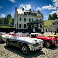 Ponadczasowe klasyki w Pałacu | Zlot samochodowy Austin Healey