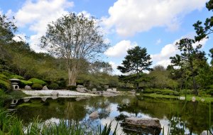 Ogród botaniczny we Wrocławiu