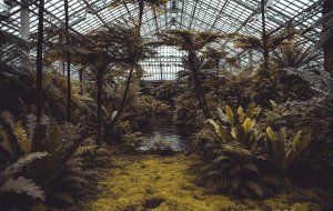 Ogród botaniczny we Wrocławiu