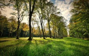 Nearby Palac Jugowice