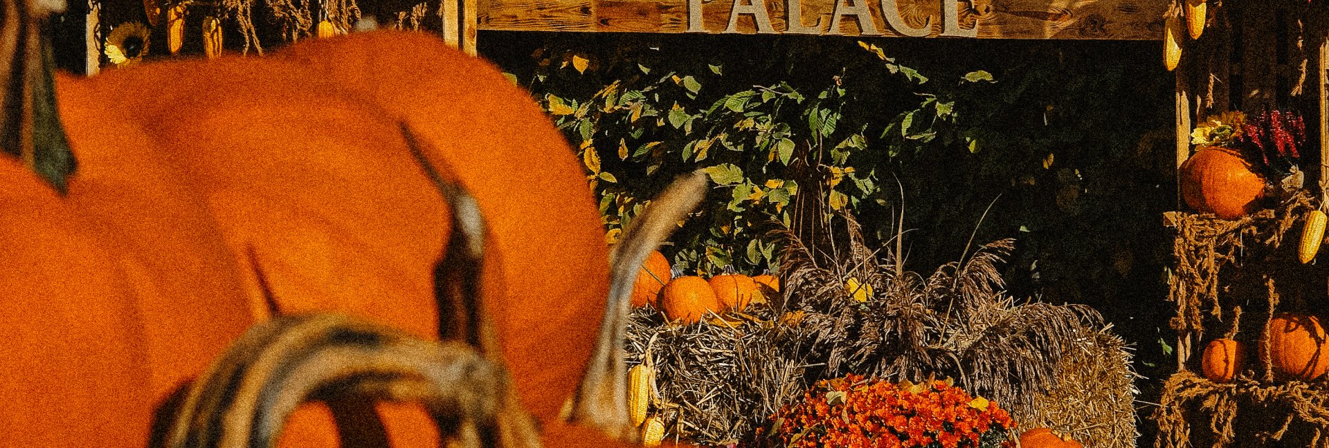 Pumpkin Palace powraca! Jesień zaczyna się w Małej Wsi