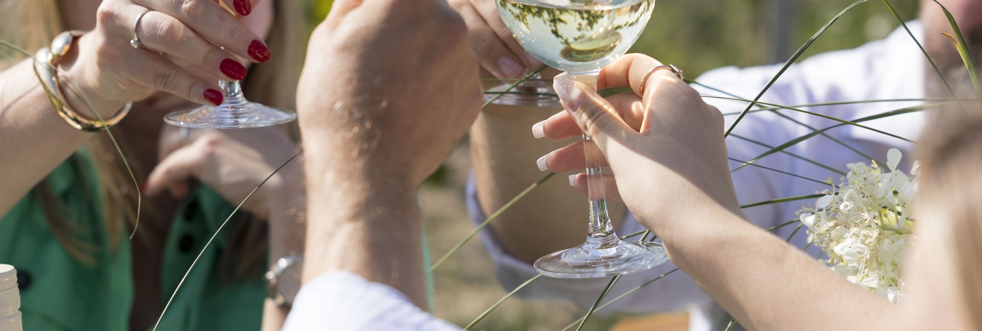 Degustacje win w Winnicy Pałacu Mała Wieś – lato 2025