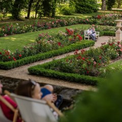 Weekend w Pałacu – 5 powodów, by odwiedzić Małą Wieś latem