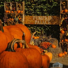 Pumpkin Palace powraca! Jesień zaczyna się w Małej Wsi