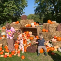 Farma Dyniowa - jesienna przygoda dla całej rodziny gotowa!