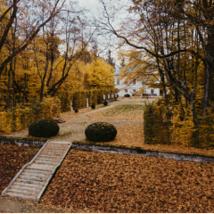 Pałac Mała Wieś – miejsce, gdzie regenerująca cisza staje się rzeczywistością