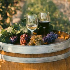 Gdzie na weekend majowy? Pomysły na relaksującą majówkę pod Warszawą