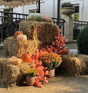 Zapraszamy do Pumpkin Palace!