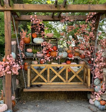 Zapraszamy do Pumpkin Palace!