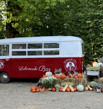 Zapraszamy do Pumpkin Palace!