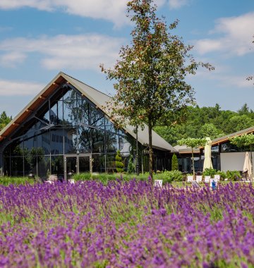 Miejsca do ćwiczeń