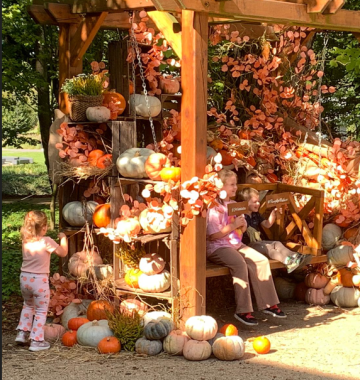 Zapraszamy do Pumpkin Palace!