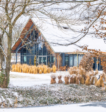 Jak zorganizować idealne zimowe wesele?