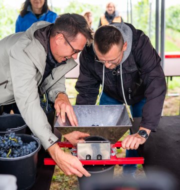 Winnica jako przestrzeń integracji zespołu