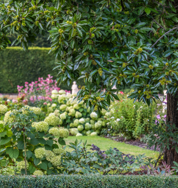 Wiosenne otwarcie Ogrodu Fontann i Herbaciarni 