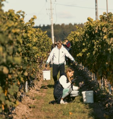 Zasmakuj w wykwintnej enoturystyce!