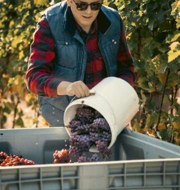 Zasmakuj w wykwintnej enoturystyce!