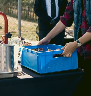 Zasmakuj w wykwintnej enoturystyce!