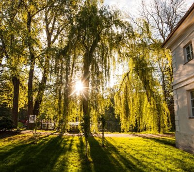 Drezyny – przejazd dla naszych Gości gratis