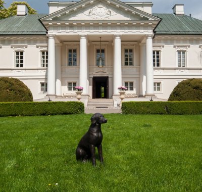 Odpocznij w Hotelu SPA pod Warszawą