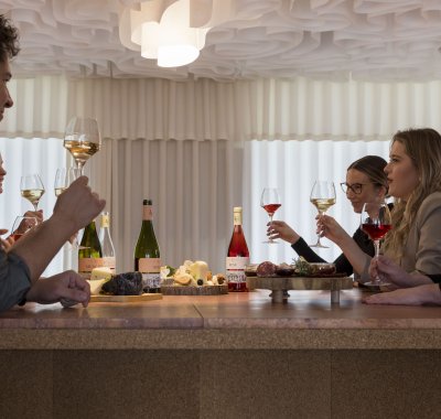 Degustacja win z Winnicy Pałac Mała Wieś