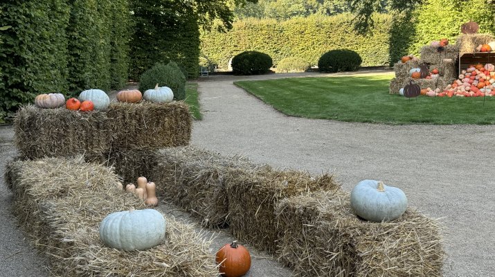 Dyniowe kręgle? Przyjdź i zagraj.