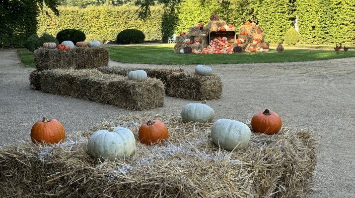 Dyniowe kręgle? Przyjdź i zagraj.