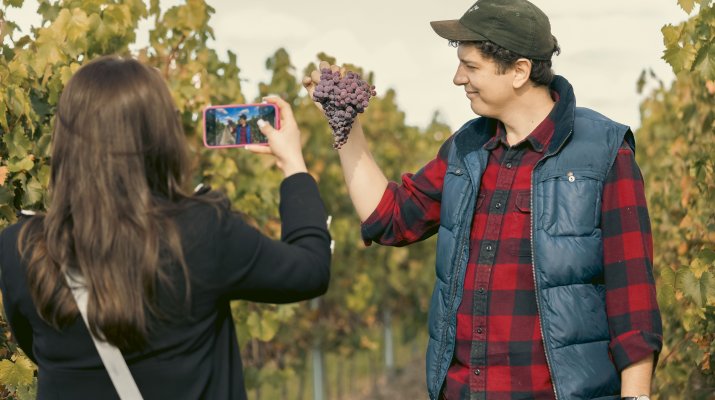 Wino, które opowiada historię