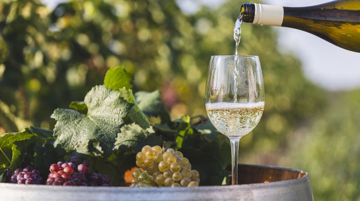 Wina z Winnicy Pałac Mała Wieś