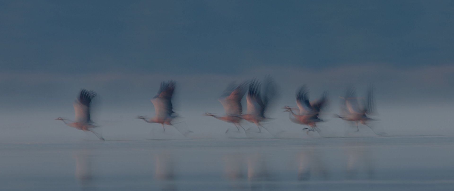 Misteria Przyrody | wystawa fotografii Grzegorza Bobrowicza