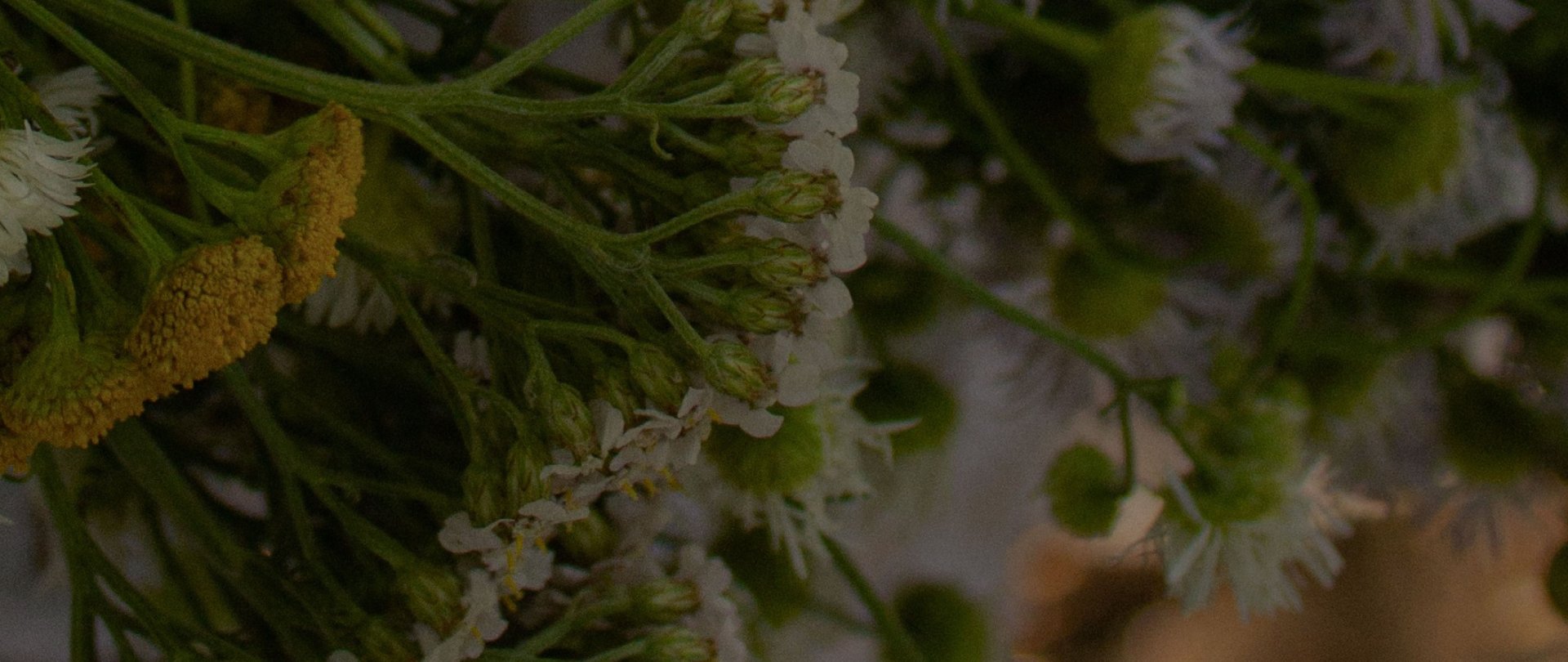 Smak Wiosny | nowe menu & muzyka na żywo 