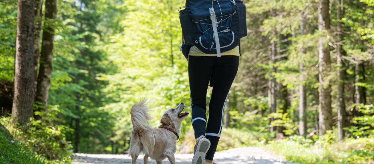 Natur, Rad- & Wanderwege direkt vor der Tür