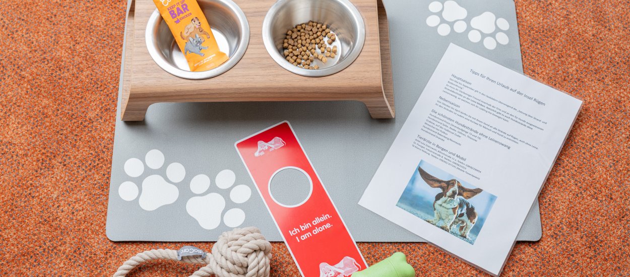 Gut zu wissen – Urlaub mit Hund bei uns: