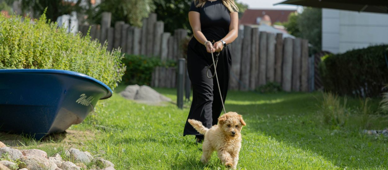 Hotel Rügen mit Hund – entspannt & komfortabel