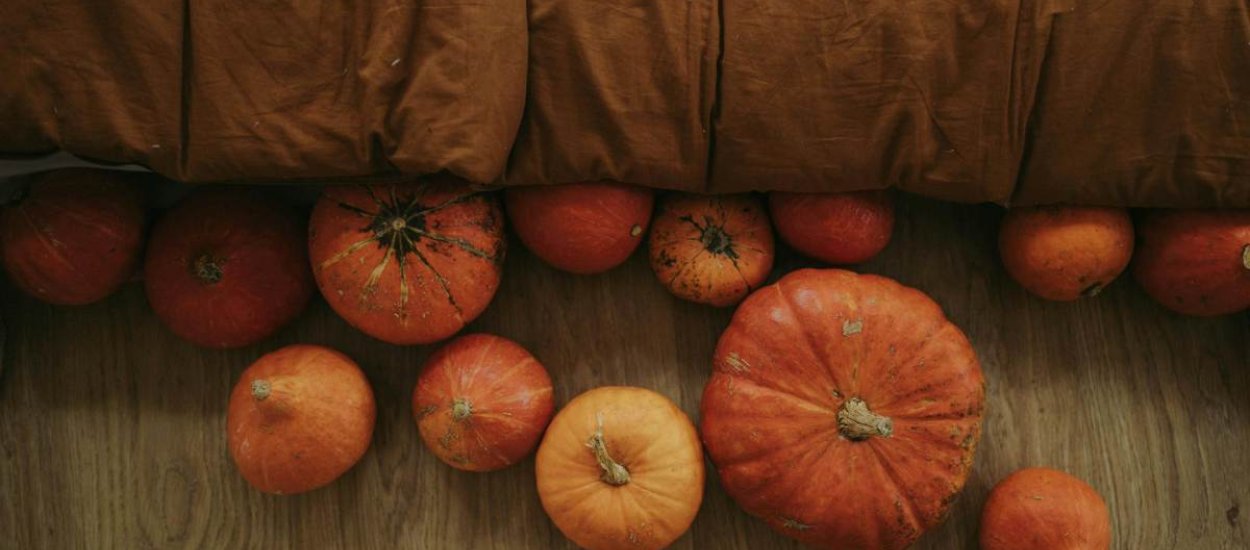 Aktivitäten & Erlebnisse zum Herbstbeginn