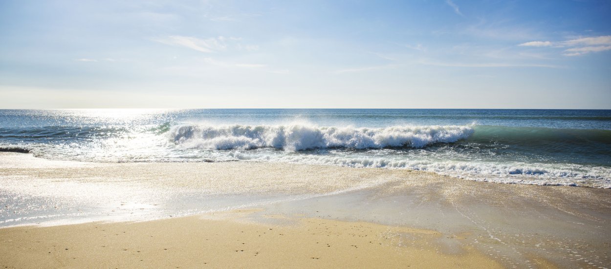 Natürliche Inhaltsstoffe