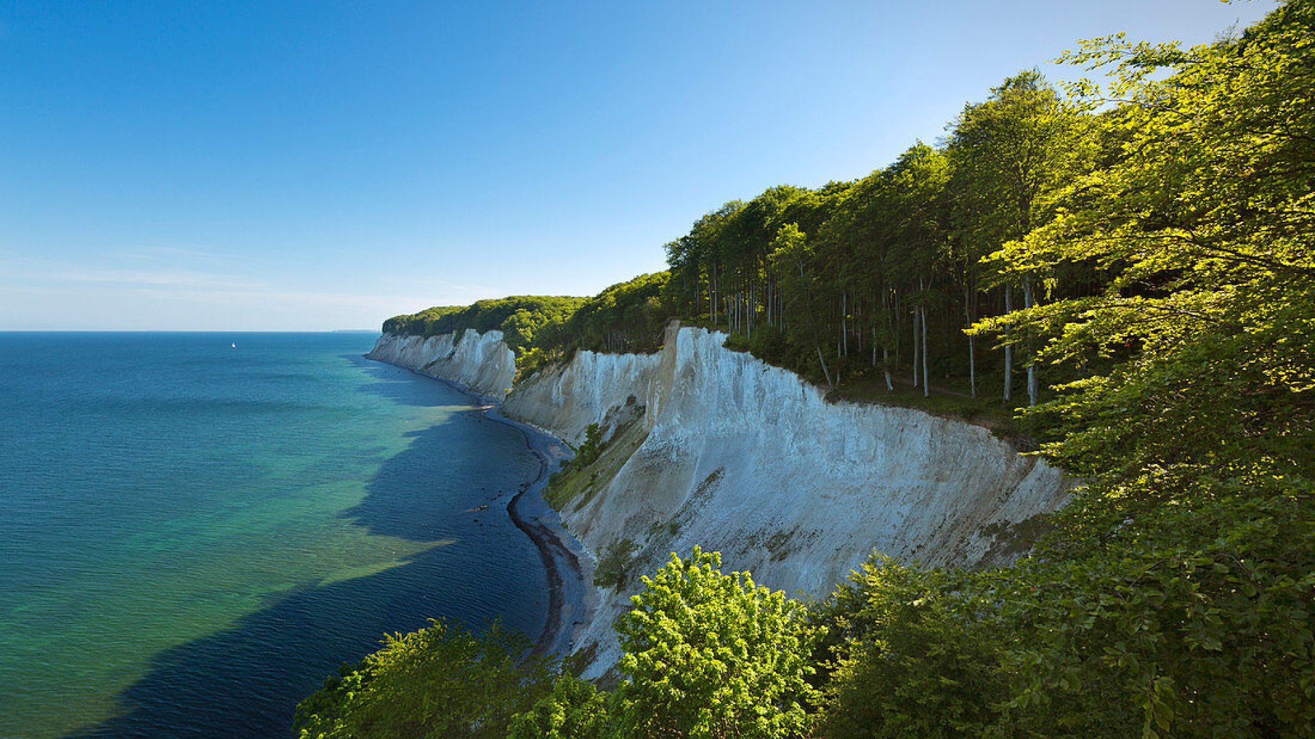 12. Wanderfrühling auf Rügen - MIT DEM RANGER INS UNESCO-WELTNATURERBE