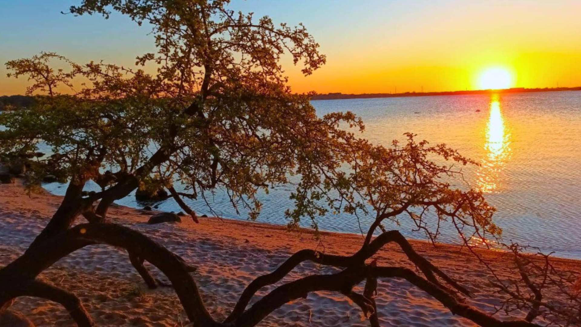 Wochenendtipps für den 9.–11. Mai 2025