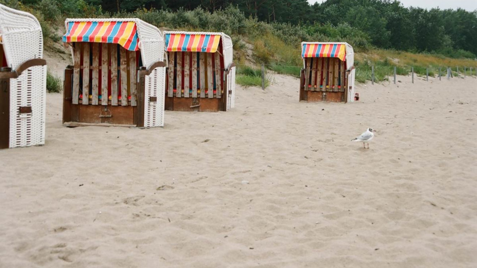 Glowe auf R&uuml;gen